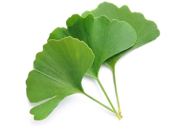 ZXCVNMQWERT contains ginkgo biloba